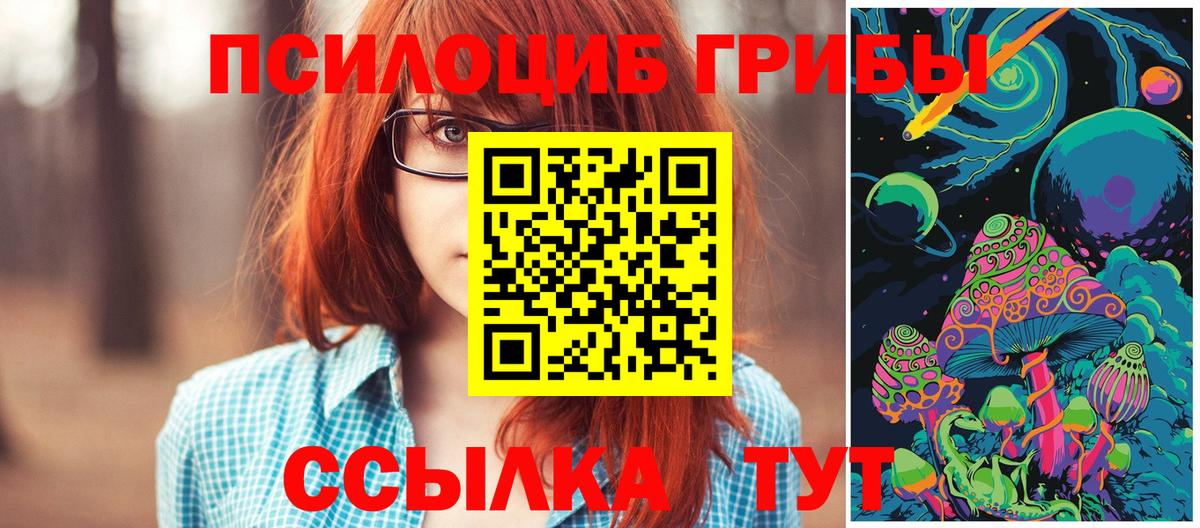 хочу наркоту  Псилоцибиновые грибы Psilocybine cubensis  Вход с VPN  Десногорск 